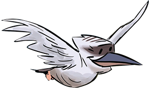 Kookaburra - The Little Twig